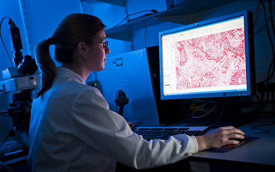 Female scientist in lab looking at cells on screen